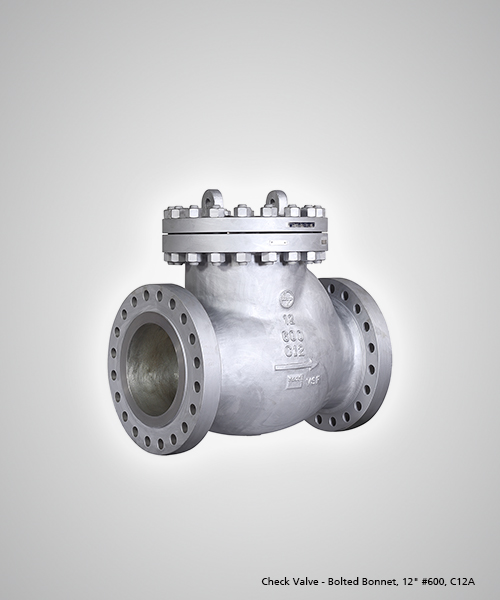 CRS Marketing | L&T Valves Distributor
